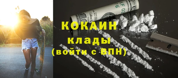 гидра Алексин