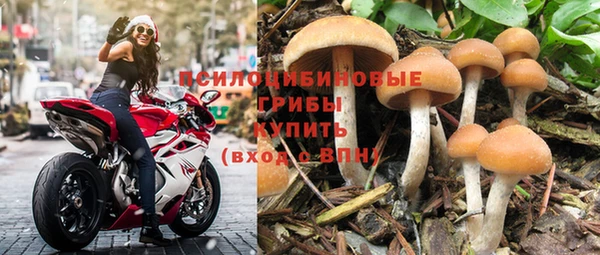 индика Алексеевка