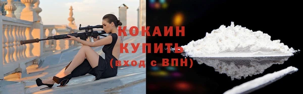 гидра Алексин