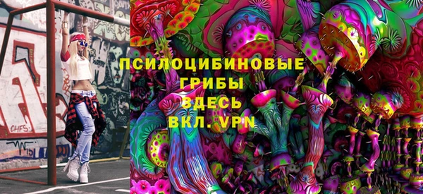 гидра Алексин