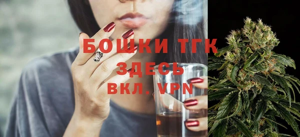 гидра Алексин