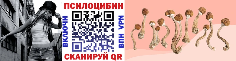 Псилоцибиновые грибы Magic Shrooms  где найти   Электрогорск 